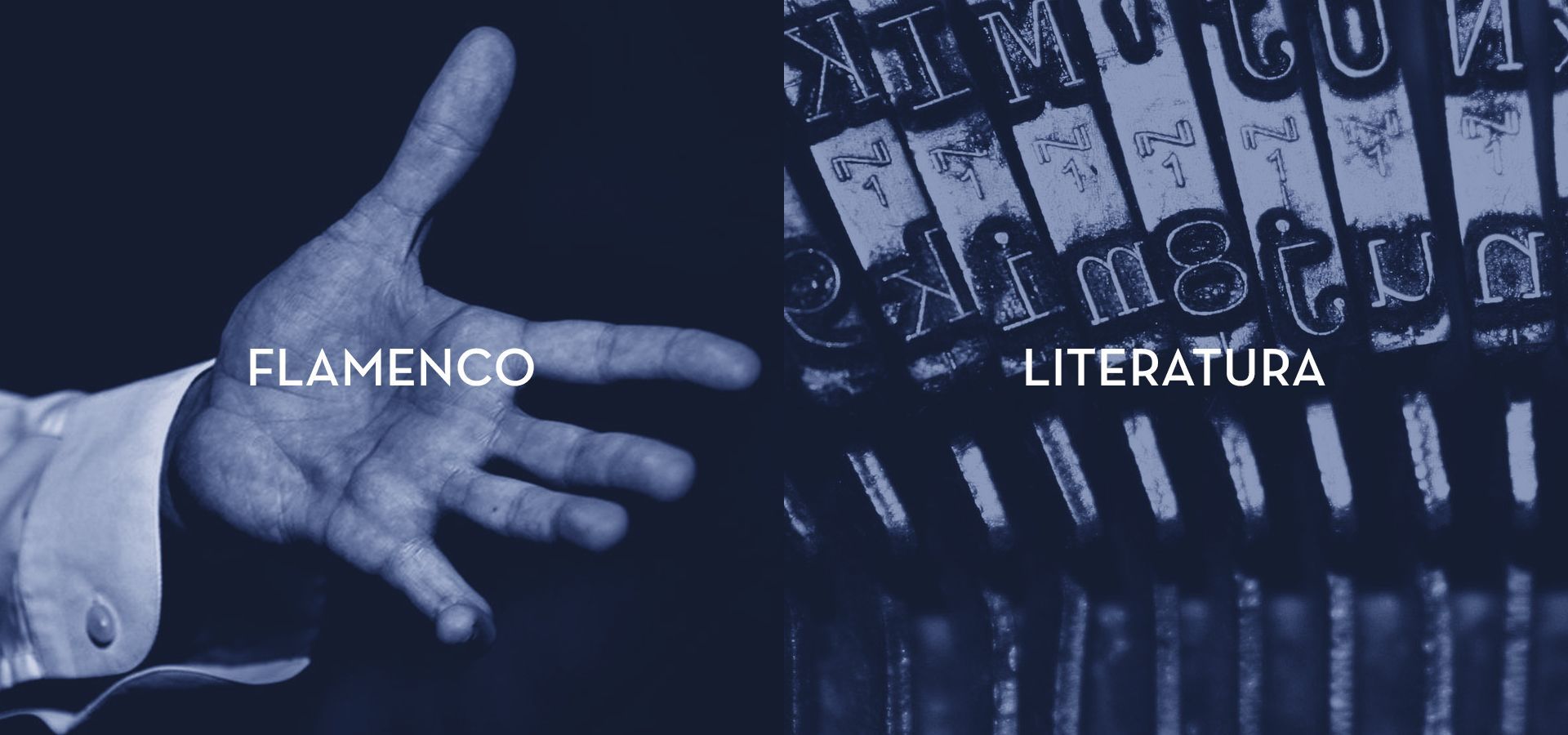 Jerez a Caballero Bonald, Literatura y Flamenco